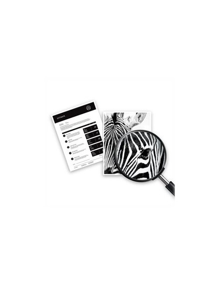 HP ink C2P26AE Nr.935XL yellow XL