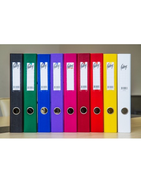 Registraator College A4 5cm PP/PP tumesinine
