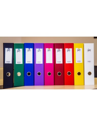Registraator College A4 7cm PP/PP lilla