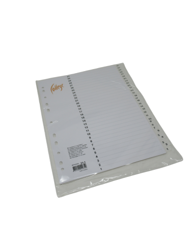Vahelehed College A4 31-1 plastik valge