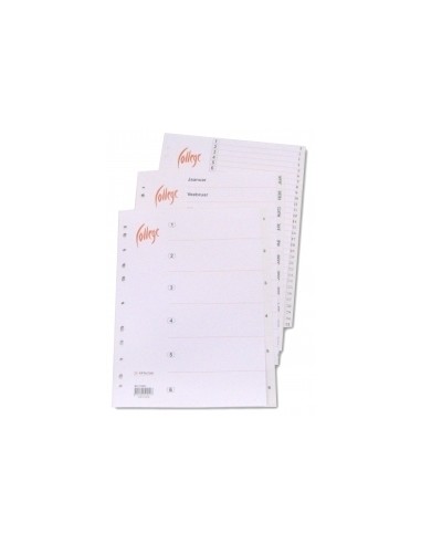 *Format A4, made from paper, unnumbered tabs, 20pcs/carton