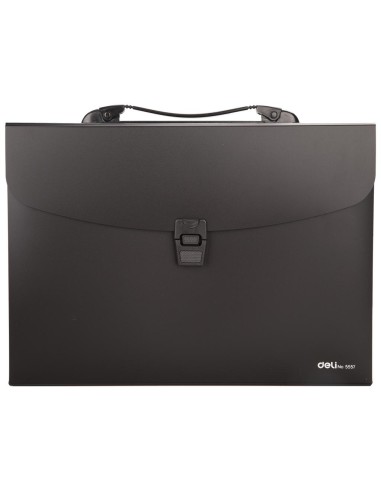 Expanding File Buckled w/handle A4 13P 4C
