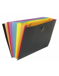 Expanding file Viquel Rainbow 8-compartments