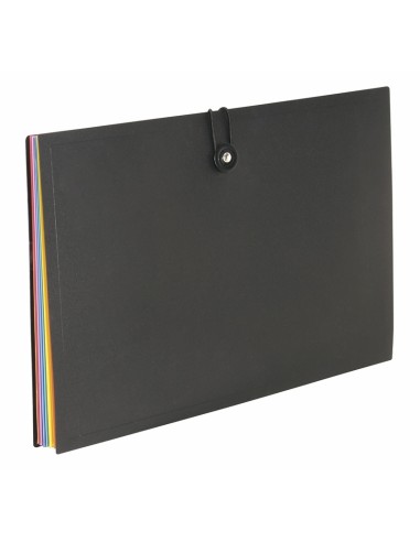 Expanding file Viquel Rainbow 8-compartments