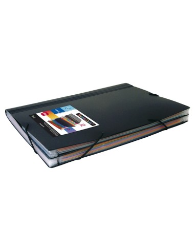 Expanding file Viquel Rainbow 18-compartments