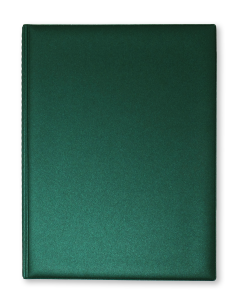 *Display book Prolexplast 10-pockets, green (P)