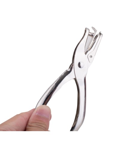 Auguraud DELI 1-auguga