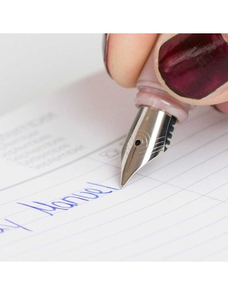 Sulepea Ceod Classic valge, Iridium nib