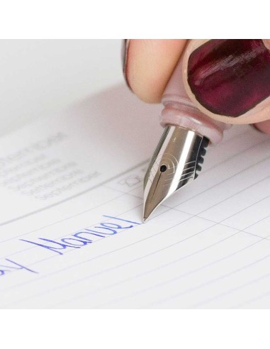 Fountain pen Ceod Shiny powder pink Schneider